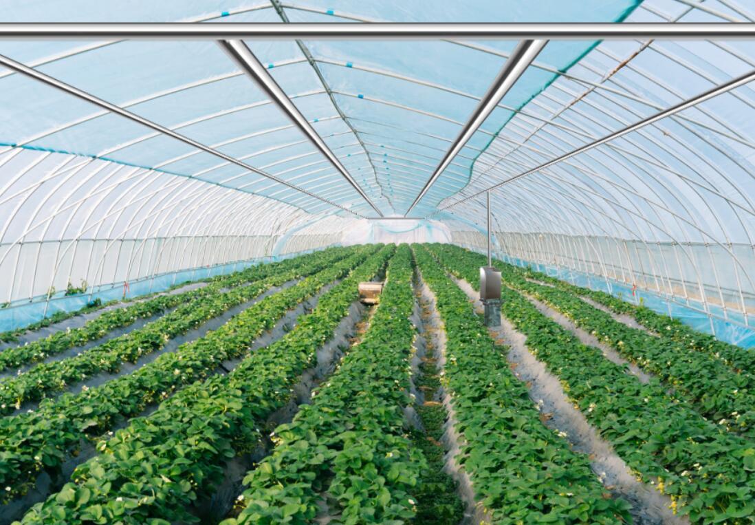 溫室大棚中使用臭氧發(fā)生器需要注意哪些問題(圖1) 溫室大棚中使用臭氧發(fā)生器需要注意哪些問題(圖1)